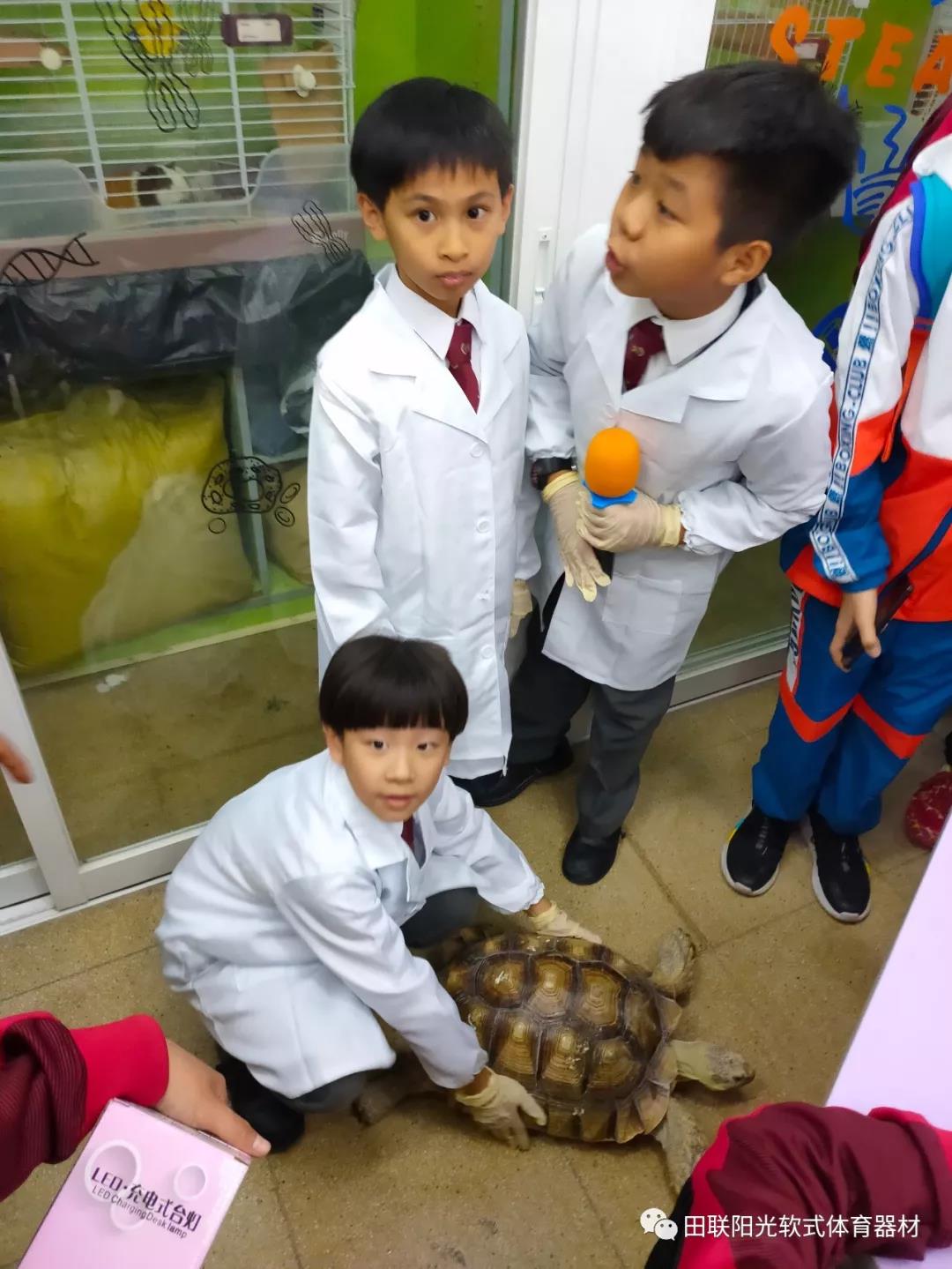 1587883539905818.jpg 18.jpg