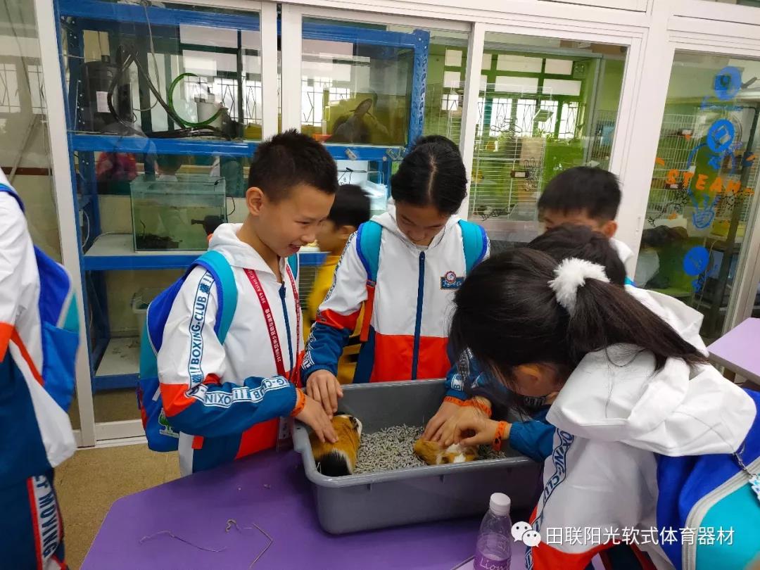 1587883553907109.jpg 19.jpg